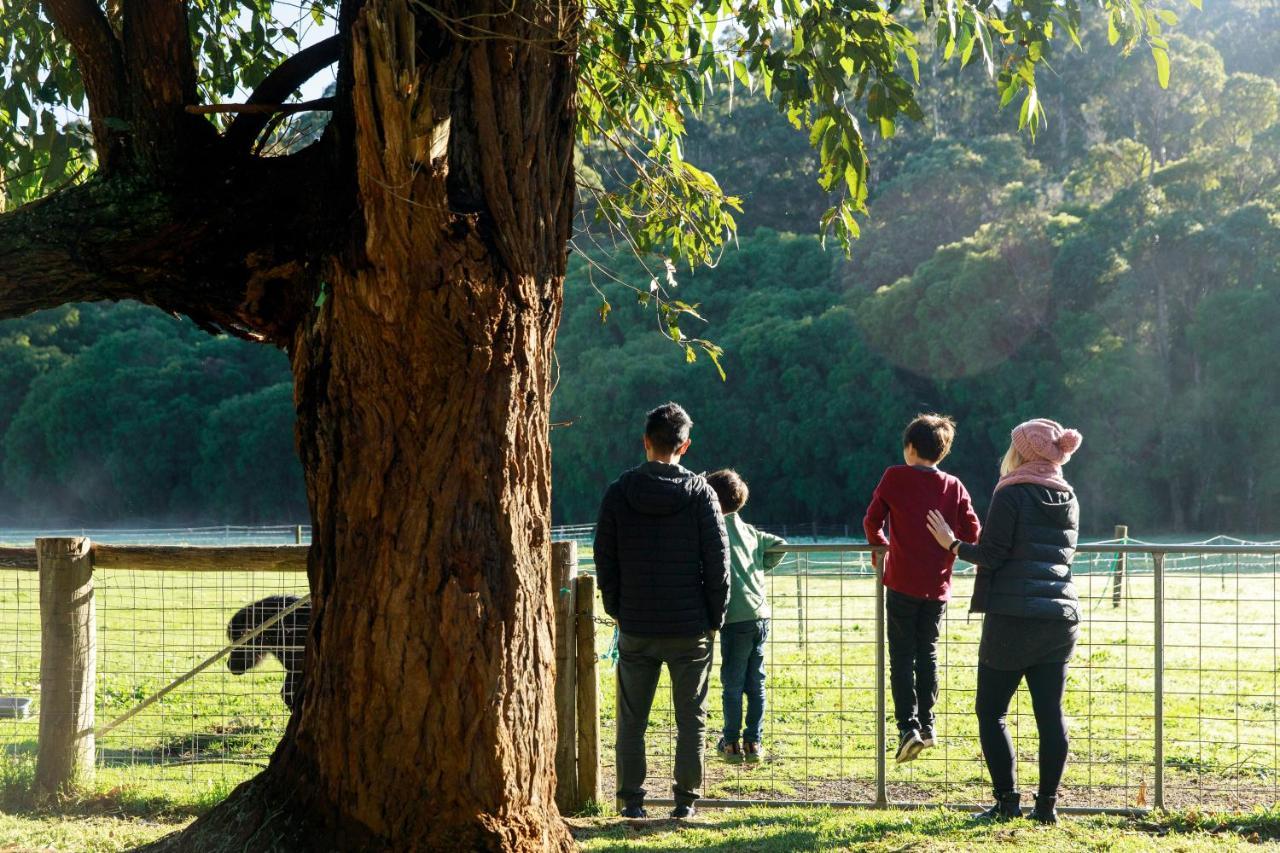 Rac Karri Valley Resort Pemberton Luaran gambar