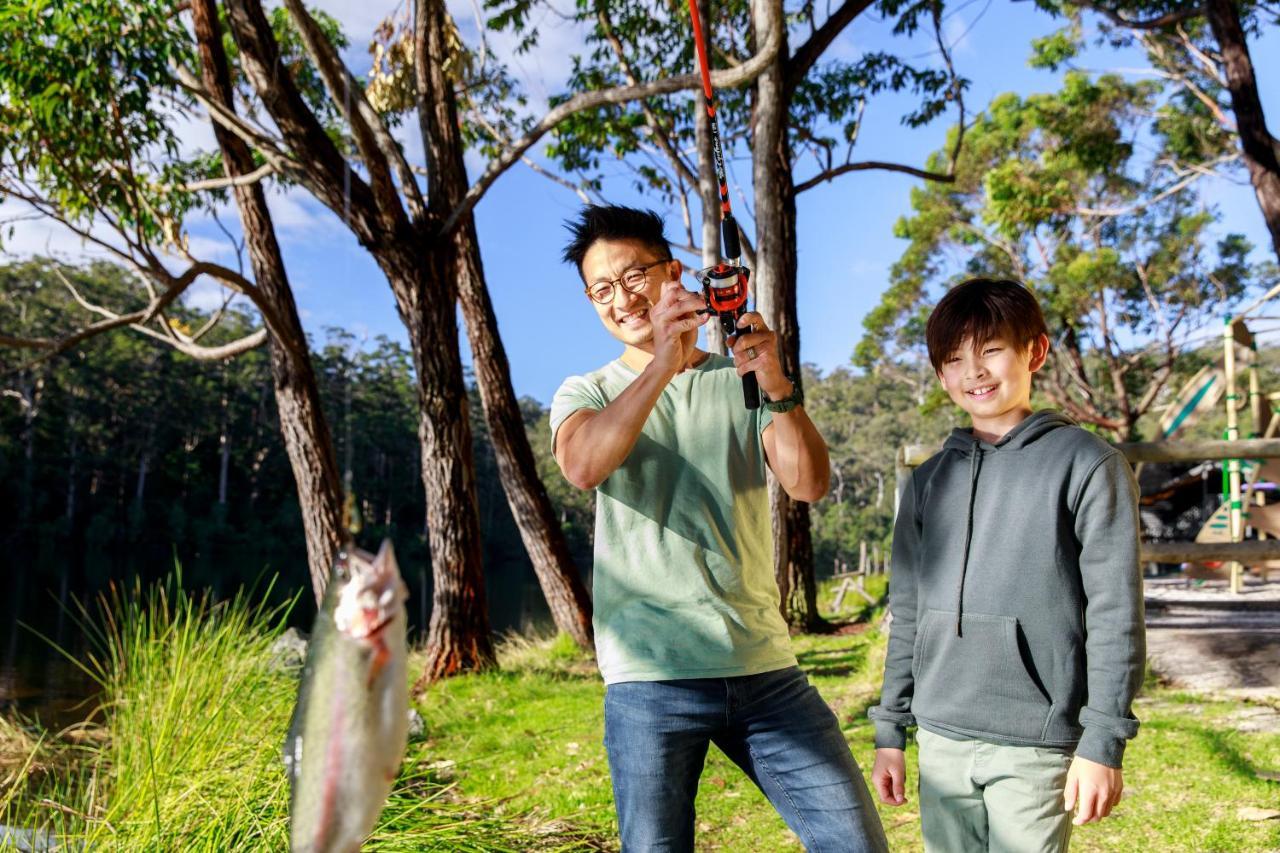 Rac Karri Valley Resort Pemberton Luaran gambar