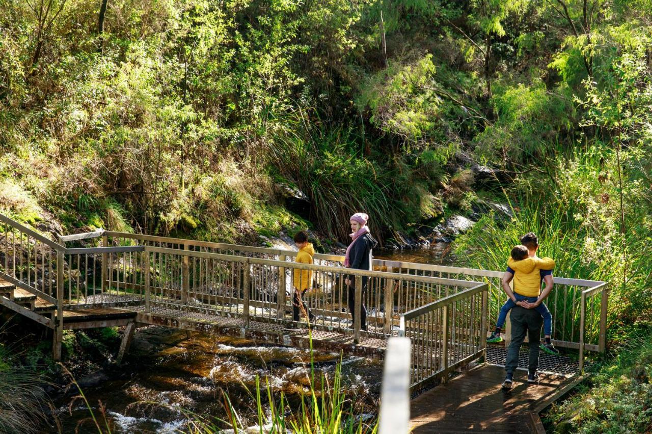 Rac Karri Valley Resort Pemberton Luaran gambar