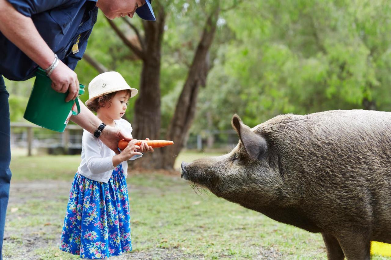 Rac Karri Valley Resort Pemberton Luaran gambar